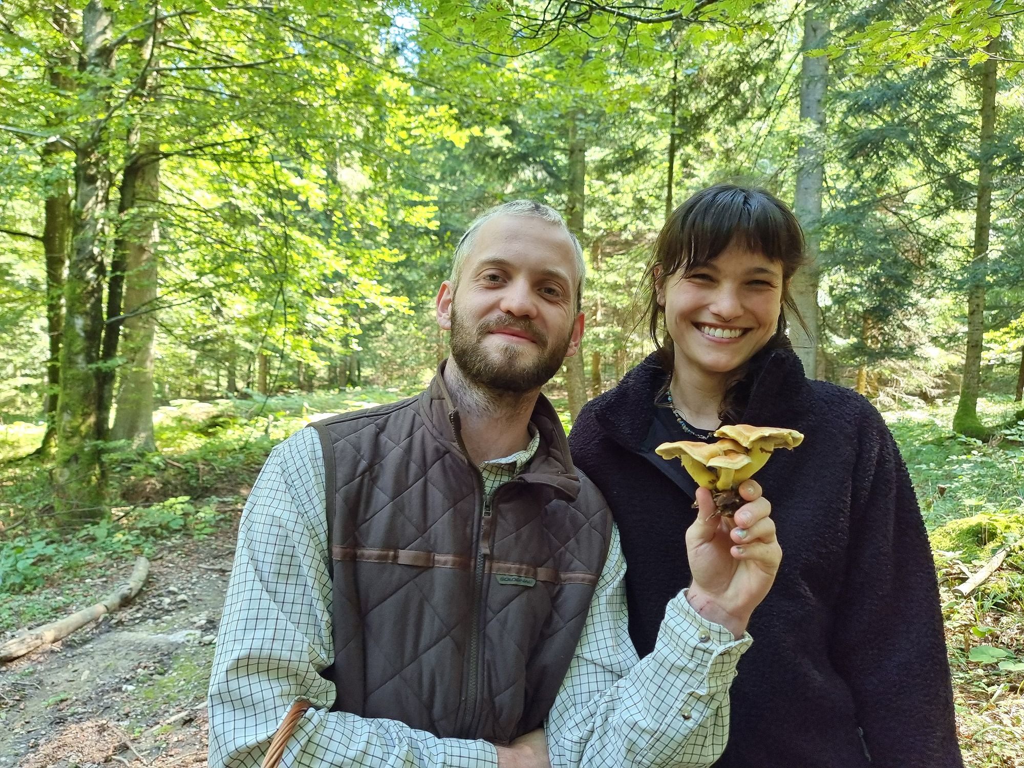 Mushroom foraging with Dr. Fungi
